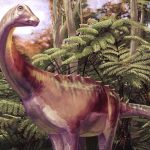 Fossil found tucked away in a drawer turns out to be first dinosaur bone from Antarctica